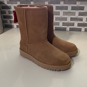 UGG mid-calf size 5 🤎